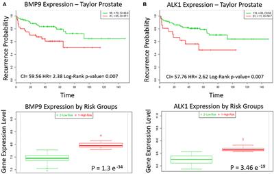 ALK1Fc Suppresses the Human Prostate Cancer Growth in in Vitro and in Vivo Preclinical Models